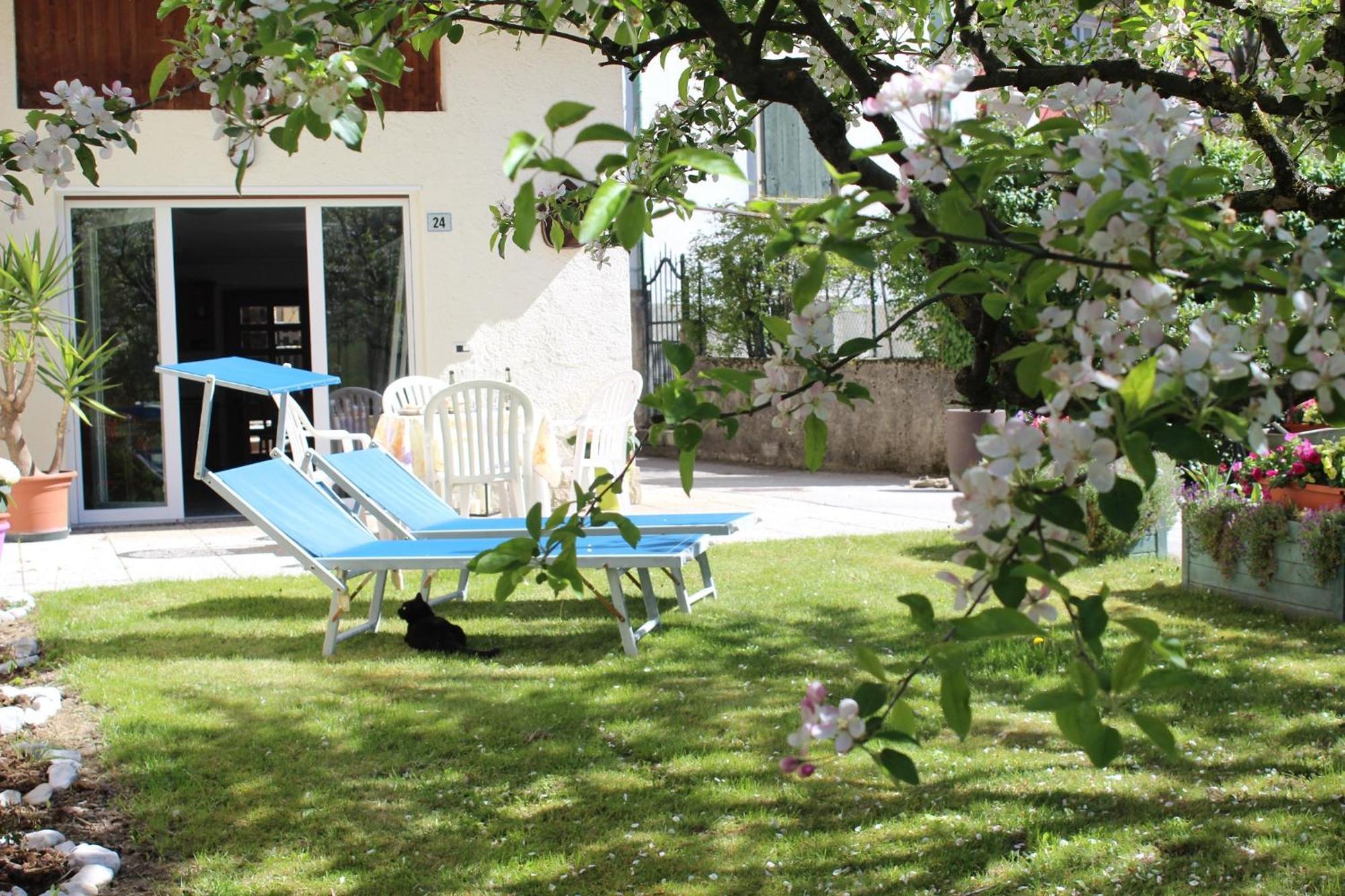 Residence Zecchini Tiarno di Sotto Oda fotoğraf